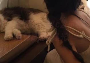 又一波猛料？17c发布黑料，来看看都是谁被曝光！