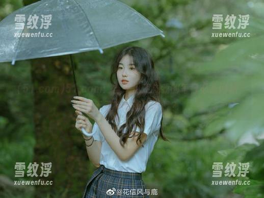 51.com：当吃瓜变成我的每日必备网站，今天又有啥新鲜事呢？