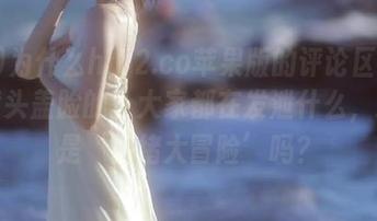 为什么hl02.co苹果版的评论区总有人劈头盖脸的？大家都在发泄什么，这不是‘情绪大冒险’吗？
