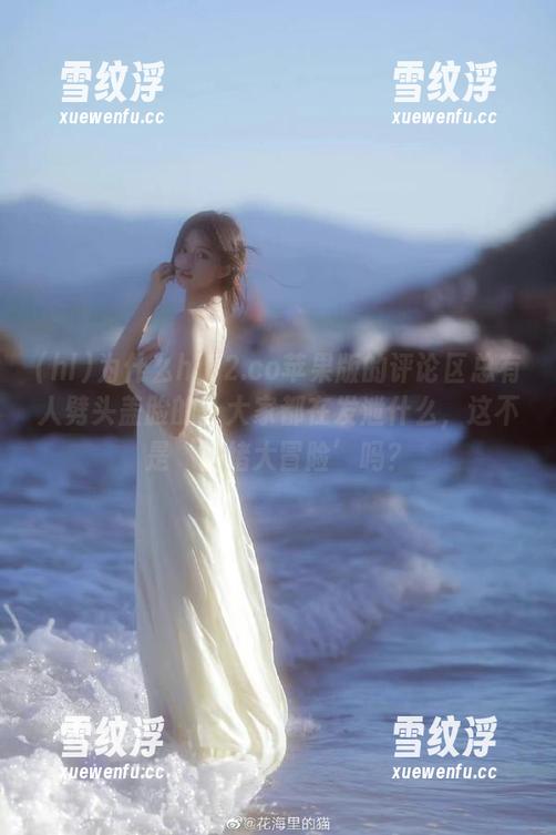 为什么hl02.co苹果版的评论区总有人劈头盖脸的？大家都在发泄什么，这不是‘情绪大冒险’吗？